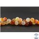 Perles en cornaline - Rondes/12 mm