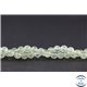 Perles en préhnite - Ronde/6 mm - Grade AA