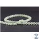 Perles en préhnite - Ronde/6 mm - Grade AA