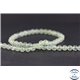 Perles en préhnite - Ronde/6 mm - Grade AA
