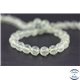 Perles en préhnite d'Afrique du Sud - Rondes/8mm - Grade AA