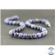 Perles dépolies en sodalite - Ronde/8 mm - Grade A