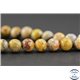 Perles en agate crazy - Ronde/8 mm