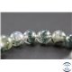 Perles en agate mousse - Rondes/10 mm - Grade AAA
