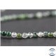 Perles en agate mousse - Rondes/8mm - Grade A+