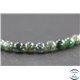 Perles en agate mousse - Rondes/6mm - Grade A+