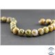 Perles en jaspe rhyolite - Rondes/12 mm