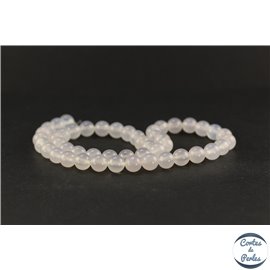 Perles en agate blanche - Rondes/8mm