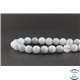 Perles en aigue-marine - Rondes/10 mm - Grade AB