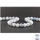 Perles en aigue-marine - Rondes/10 mm - Grade AB