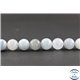 Perles en aigue-marine - Rondes/10 mm - Grade AB