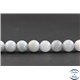 Perles en aigue-marine - Rondes/10 mm - Grade AB