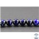 Perles en oeil de tigre bleu roi - Rondes/10 mm - Grade A