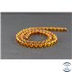 Perles en ambre cognac clair de la Baltique - Rondes/6mm - Grade A