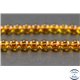 Perles en ambre cognac clair de la Baltique - Rondes/6mm - Grade A