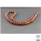 Perles en ambre de la Baltique - Rondes/7 mm - Cognac - Grade A