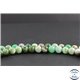 Perles en chrysoprase d'Australie - Rondes/10 mm - Grade AB