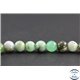 Perles en chrysoprase d'Australie - Rondes/10 mm - Grade AB