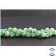 Perles en chrysoprase d'Australie - Rondes/10 mm - Grade A