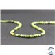 Perles en jaspe vert d'Australie - Rondes/4 mm - Grade AB