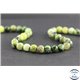 Perles en jaspe vert d'Australie - Rondes/8 mm - Grade AB