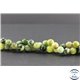 Perles en jaspe vert d'Australie - Rondes/8 mm - Grade AB