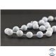 Perles en célestine de Madagascar - Rondes/10 mm - Grade AB