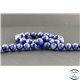 Perles en cyanite du Brésil - Rondes/10 mm - Grade A