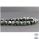 Perles en séraphinite de Russie - Rondes/10 mm - Grade AA