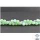 Perles en chrysoprase d'Australie - Rondes/8mm - Grade A+