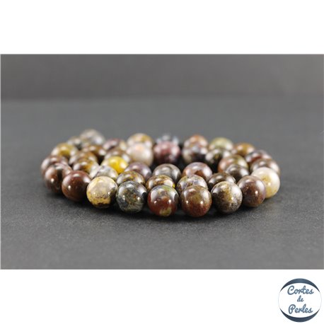 Perles en pietersite de Chine - Rondes/10mm - Grade AB