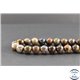 Perles en pietersite de Chine - Rondes/10mm - Grade AB