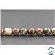 Perles en pietersite de Chine - Rondes/10mm - Grade AB