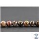 Perles en pietersite de Chine - Rondes/10mm - Grade AB