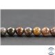 Perles en pietersite de Chine - Rondes/8mm - Grade AB