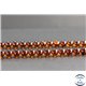 Perles en ambre cognac de la Baltique - Rondes/8mm - Grade A