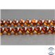 Perles en ambre cognac de la Baltique - Rondes/8mm - Grade A
