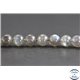 Perles en labradorite de Madagascar - Rondes/8mm - Grade AAA
