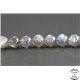 Perles en labradorite de Madagascar - Rondes/8mm - Grade AAA