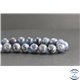 Perles en apatite grise de Madagascar - Rondes/12mm - Grade AB