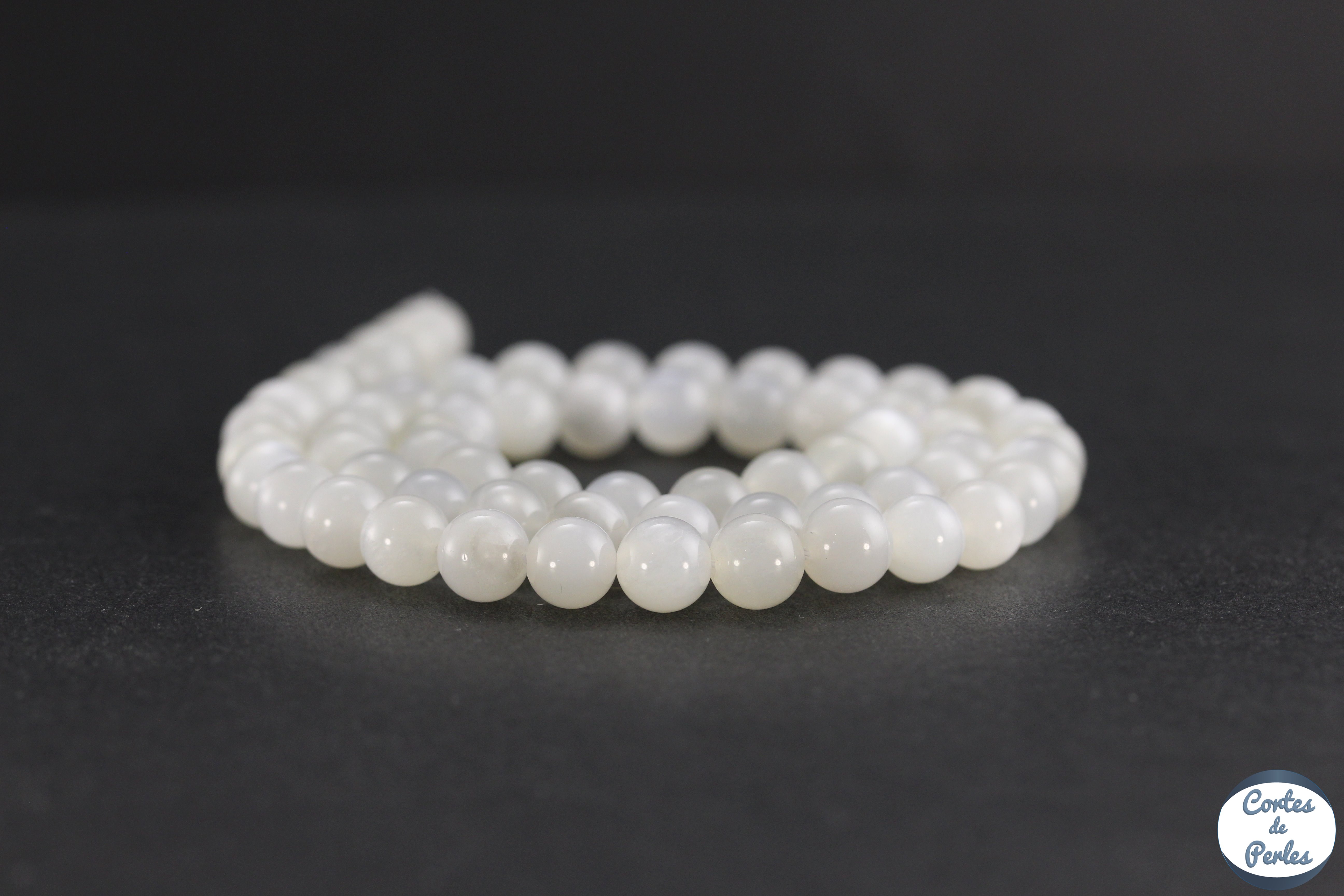 Canne à Lancer Jackall 20 BPM BP-C610XH Pour Pêche Basse - Tige Appât Puissance XH | Pêche Leurres