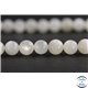 Perles en pierre de Lune opalescente du Sri Lanka - Rondes/6 mm - Grade AB