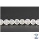 Perles en pierre de Lune arc en ciel du Sri Lanka - Rondes/8 mm - Grade AB