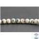 Perles en jaspe dendritique - Rondes/6mm