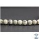 Perles en jaspe dendritique - Rondes/8mm