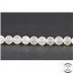 Perles en pierre de Lune opalescente du Sri Lanka - Rondes/6 mm - Grade AA