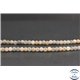 Perles en pierre de Soleil grise - Rondes/4mm - Grade A