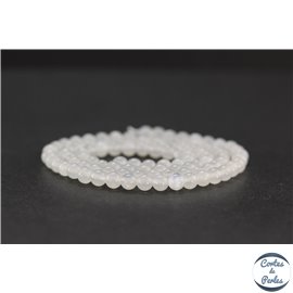 Perles en pierre de Lune opalescente d'Inde - Rondes/4 mm - Grade AA