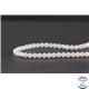 Perles en pierre de Lune opalescente d'Inde - Rondes/4 mm - Grade AA