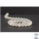 Perles en pierre de Lune opalescente d'Inde - Rondes/8 mm - Grade AA